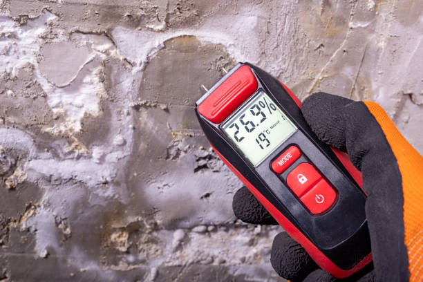 Best Industrial Mold Remediation in Nichols Hills, OK