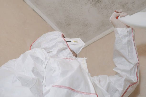 Best Black Mold Remediation in Nichols Hills, OK