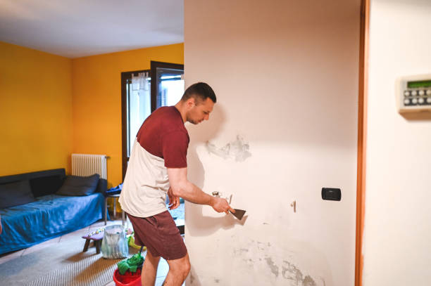 Best Mold Testing and Inspection Services in Nichols Hills, OK